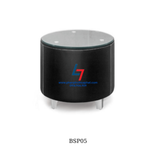 bsp05