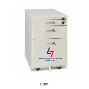 hs01