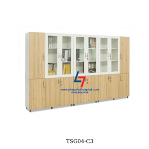 tsg04-c3