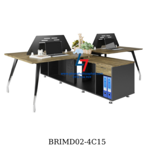 module bri md02-4c15