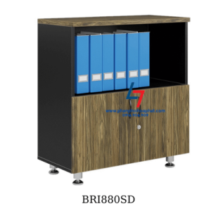 tu tai lieu bri880sd
