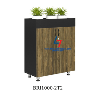 tu tai lieu bri1000-2t2